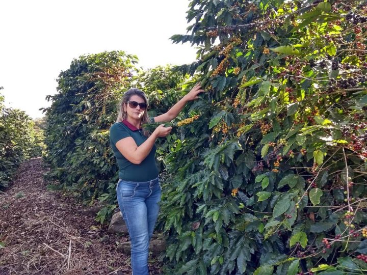 #146 Kahiwa Coffee Roasters: Sítio Santa Quitéria