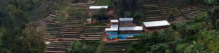 #148 Kahwe: Ruanda Muka Kivu