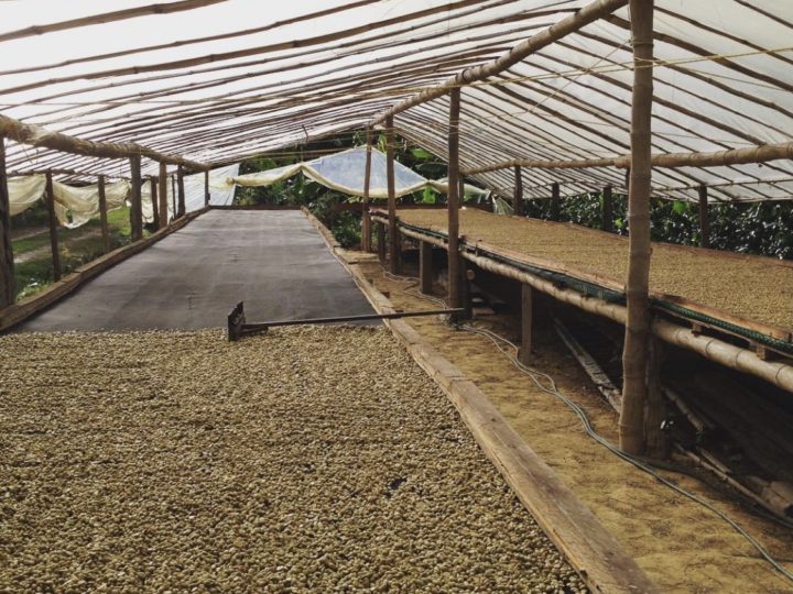 #156 Frukt Coffee Roasters: La Quinta