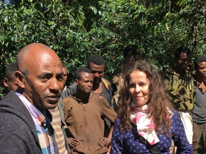#157 Mokkamestarit: Ethiopia Suke Quto Organic 4/5
